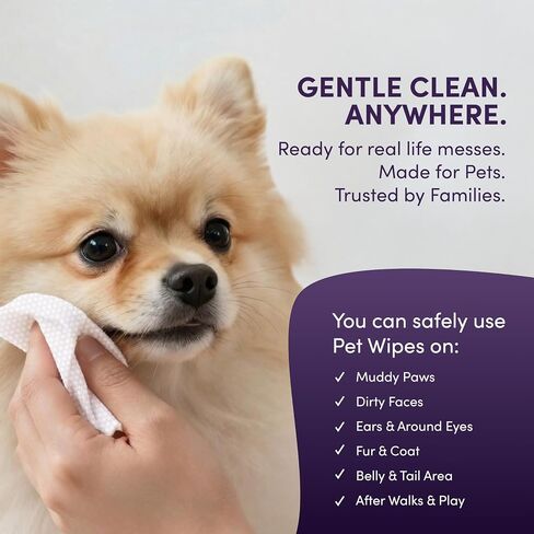 Dog Wipes Individually Wrapped for Paws and Butt, Travel Size Pet Wipes for Dogs, Puppy Cleaning Wipes for Face, Ears, Eyes, No Rinse Grooming Wipes, Deodorizing Lavender, 30 Count On-The-Go Packs in Kuwait
