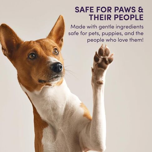 Dog Wipes Individually Wrapped for Paws and Butt, Travel Size Pet Wipes for Dogs, Puppy Cleaning Wipes for Face, Ears, Eyes, No Rinse Grooming Wipes, Deodorizing Lavender, 30 Count On-The-Go Packs in Kuwait