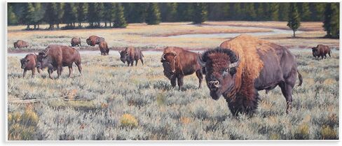 تصميم فني للوحة الحائط من Stupell Industries Bison Herd Rural Stream بواسطة Lindsay Scott in Kuwait