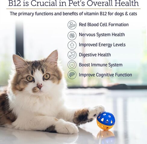 RX Vitamins B12 for Dogs and Cats - Helps Improve Pet Wellness - 4oz in Kuwait