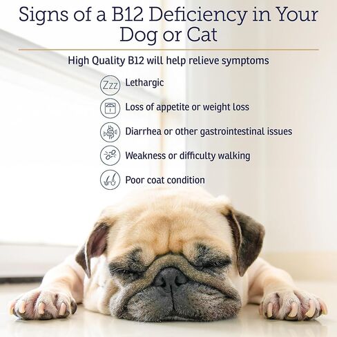 RX Vitamins B12 for Dogs and Cats - Helps Improve Pet Wellness - 4oz in Kuwait