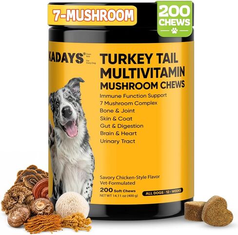 Turkey Tail Mushroom for Dogs 200 Count - Dog Multivitamin & Mushroom Chews in Kuwait