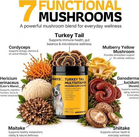 Turkey Tail Mushroom for Dogs 200 Count - Dog Multivitamin & Mushroom Chews in Kuwait