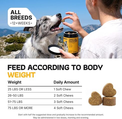 Turkey Tail Mushroom for Dogs 200 Count - Dog Multivitamin & Mushroom Chews in Kuwait