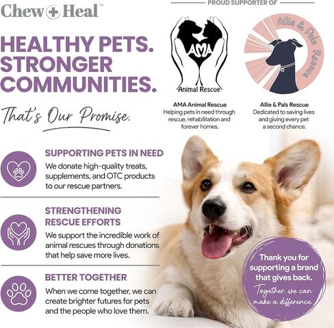 No Chew Spray for Dogs, 8 oz - No Sting, Alcohol Free in Kuwait