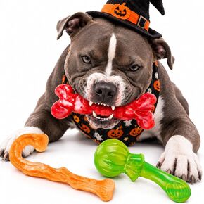 Kseroo 3 Pack Tough Dog Toys for Aggressive Chewers 30-85 lbs,Beef Flavored in Saudi Arabia