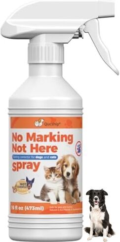 Dog Potty Routine Spray for Rescue and Adult Dogs, 16 Fl Oz in Saudi Arabia