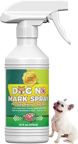 Outdoor Dog Boundary Training Spray for Yard Areas, 16 Fl Oz in Saudi Arabia