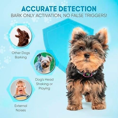 Tiny Bark Collar for Small Dogs 5-15 lbs and Puppies - No Shock Anti Barking Collar - Rechargeable Smart Collar for Dog Training with 7 Sensitivity Levels and 3 Beep&Vibration Modes (Pink) in Kuwait