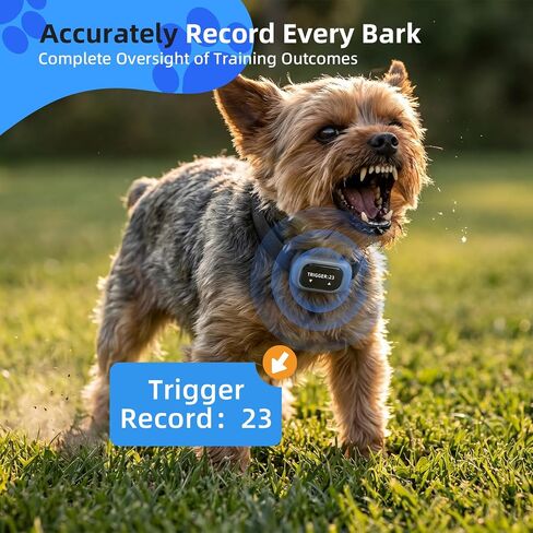 2026 Ultra-Small Bark Collar with Optional Shock, Vibration & Sound, Barking Record Collar for Small Dogs 5-15lbs, Only 1 * 1.7in & 0.8oz, Rechargeable, IPX7 Waterproof, 5 Sensitivity Levels (Blue) in Kuwait
