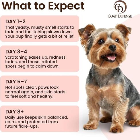 COAT DEFENSE Paw Licker Bundle | Daily Preventative Powder & Shampoo for Allergies and Itching | Yeast Infection Treatment for Dogs | Dog Shampoo Itchy Skin Relief | Dry Shampoo Yeast Powder for Dogs in Kuwait