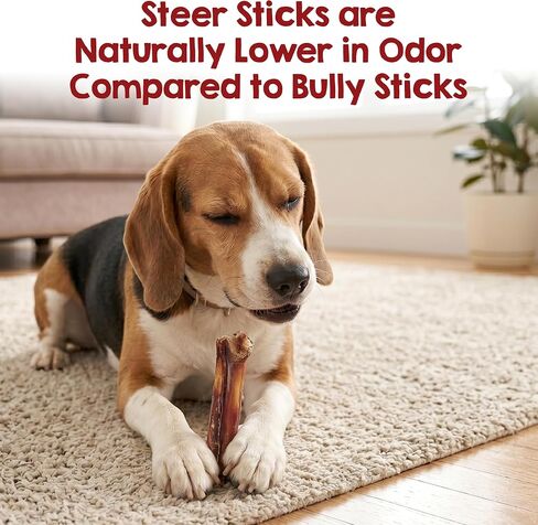Riley's Thick Steer Bully Stick for Medium to Large Dogs - 5-6", 12ct in Kuwait