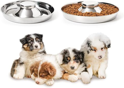 2 Pack Stainless Steel Puppy Bowls, Dog Feeding Bowl in Kuwait
