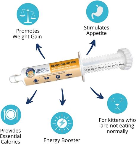 Under the Weather Pet | Ready Cal for Kitten | High Calorie Pet Nutritional Supplement for Weight Gain & Healthy Weight Maintenance | 10 Vitamins, 7 Minerals, Omega Fatty Acids & Carbohydrates | 80cc in Kuwait