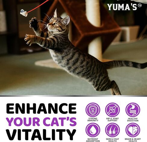 Cat Multivitamin Chews - Cat Vitamins and Supplements - Taurine & Lysine in Kuwait