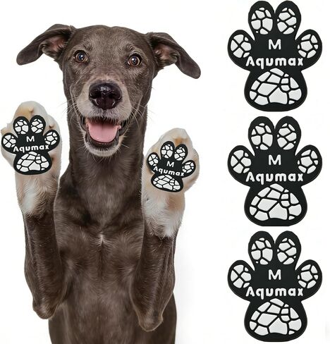 Anti-Slip Paw Pads for Senior Dogs Traction on Hardwood Floors in Saudi Arabia