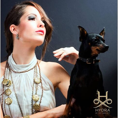 Hydra Professional Moisturizing Dog Conditioner, Oatmeal Hair Conditioner for Dogs and Cats, Suitable for All Breeds and Coat Types, Promotes Shine in Kuwait