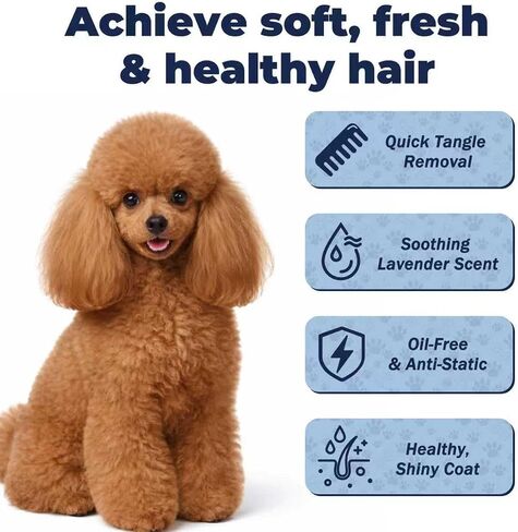 Dog Detangler Spray – Doodle Detangler Spray Leave-in Conditioner, Dematting Spray for Dogs, Cat & Dog Matted Fur Remover Grooming Spray, Removes Tangles & Odors, Poodle Tangle Remover – 6.8oz in Kuwait