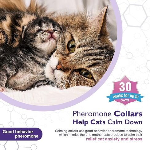 Tcllka Calming Collar for Cats 3 PK Cat Stress Anxiety Relief Pheromone Collar for Cats Anti Aggression for Cats Cat Meowing Stopper Cat Calming Collars for 30 Days Adjustable Waterproof Rapid Effect in Kuwait