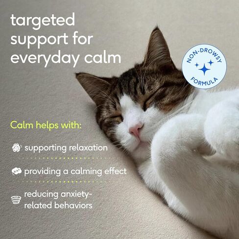 Native Pet Cat Calming Treats - Chicken Flavored Calming Chews for Cats in Kuwait