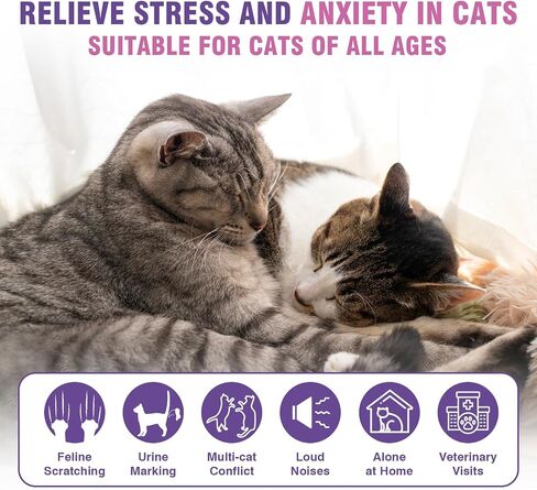Cat Calming Pheromone Diffuser Refills 4 Pack Anxiety and Stress Calming for Cats Reduce Inappropriate Peeing and Spraying Fragrance Free for Bedroom Bathroom Reduces Conflict in Multi-Cat Households in Kuwait