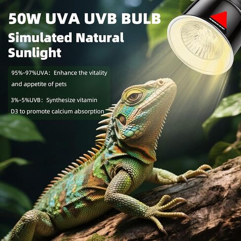 3.5inch Reptile Heat Lamp Reptile Light Fixture in Saudi Arabia