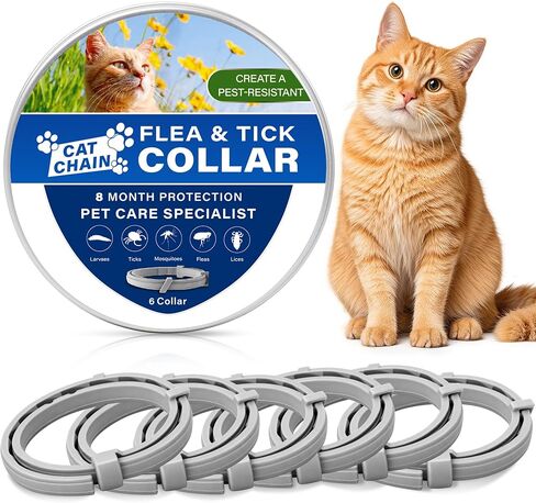 6 Pack Cat Collars – Adjustable Waterproof Pet Collars, Soft Flexible Material, Lightweight Design for Small Medium & Large Cats in Saudi Arabia