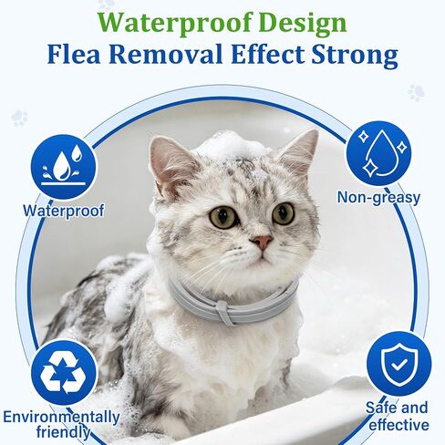 6 Pack Cat Collars – Adjustable Waterproof Pet Collars, Soft Flexible Material, Lightweight Design for Small Medium & Large Cats in Saudi Arabia