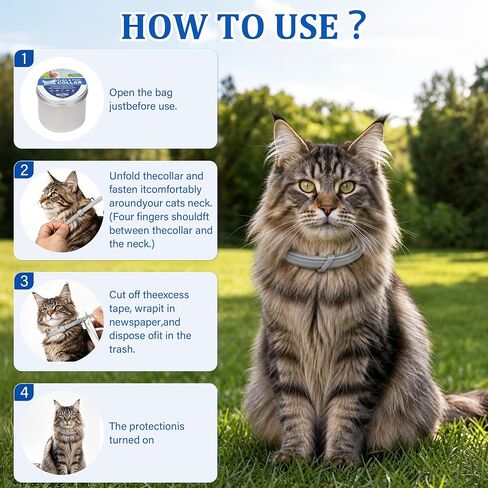 6 Pack Cat Collars – Adjustable Waterproof Pet Collars, Soft Flexible Material, Lightweight Design for Small Medium & Large Cats in Saudi Arabia