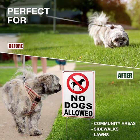 لافتة بعبارة No Dogs Allowed - No Dogs Allowed - No Dogs Sign - No Dogs Allowed - No Dogs You Dog - No Dogs On Lawn - لافتة للكلاب للسياج - لافتات للكلاب لديكور المنزل - كلاب اوف جراس in Kuwait