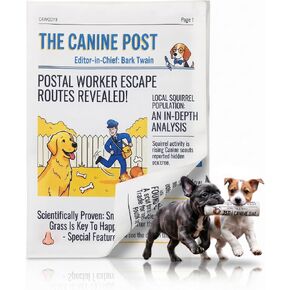 Crinkle Dog Toy Newspaper, Interactive Paper Toy for Dogs 2 Pack in Saudi Arabia