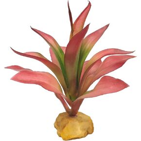 Woyrise Reptile Plants for Desert Terrarium,Habitat Decor,Succulent Plant in Saudi Arabia