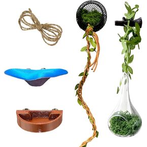 Jumping Spider Accessories 7-Piece Set in Saudi Arabia