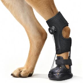 Dog Shoes for Hot Pavement, Breathable Dog Boots & Paw Protectors(L) in Saudi Arabia