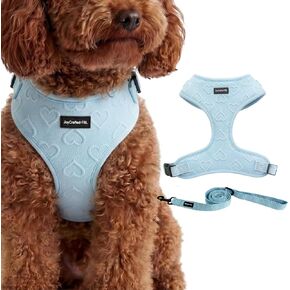 No Pull Dog Harness & Leash Set with Cute Heart Print, Soft Padded, XSmall in Kuwait