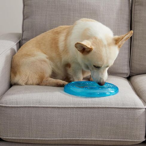 Petstages Orka Flyer Royal Blue Flying Disc Dog Fetch Toy in Saudi Arabia