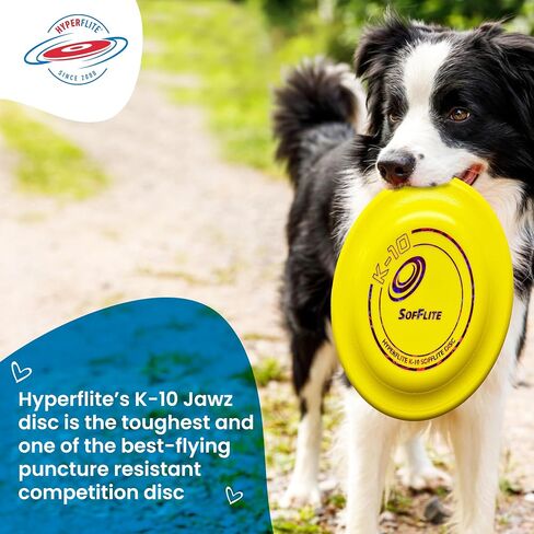 Hyperflite K-10 SofFlite Soft Dog Flying Disc, 2 Pack, Medium-Large in Saudi Arabia