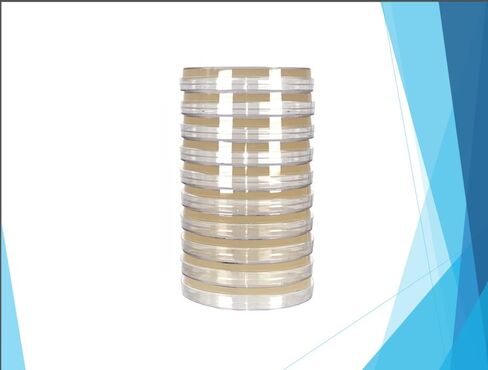 Tryptic Soy Agar (TSA), with Typtone & Soytone, General Growth Medium, (10-Pack), Pre-Poured 15x100mm Petri Plates in Saudi Arabia
