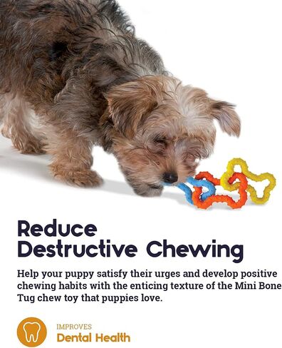 Pupstages Mini Bone Tug Dental Dog Chew Toy, Floppy & Textured, 6.3" in Saudi Arabia