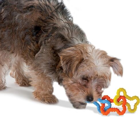 Pupstages Mini Bone Tug Dental Dog Chew Toy, Floppy & Textured, 6.3" in Saudi Arabia
