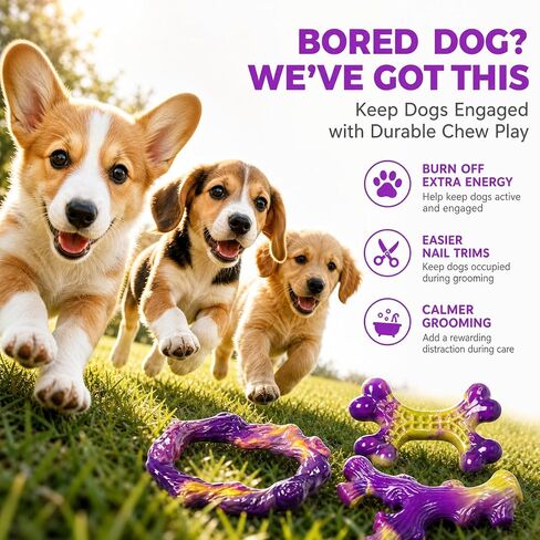 Frienhund 3-Pack Puppy chew Toys: Puppy chew Toys for Teething in Saudi Arabia