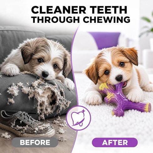 Frienhund 3-Pack Puppy chew Toys: Puppy chew Toys for Teething in Saudi Arabia