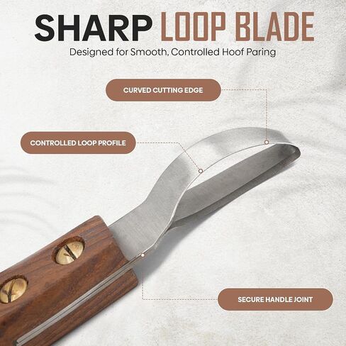 Equine Care Farrier Loop Hoof Knife, J2 Stainless Steel, Wood Handle in Kuwait