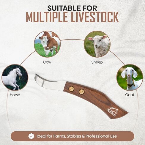 Equine Care Farrier Loop Hoof Knife, J2 Stainless Steel, Wood Handle in Kuwait