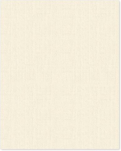 Linen Textured Cardstock White 100 Sheets 80 lb Cover, 8.5 x 11 Inches for Printers, Invitation, Arts and Craft, Scrapbook, DIY Projects in Kuwait