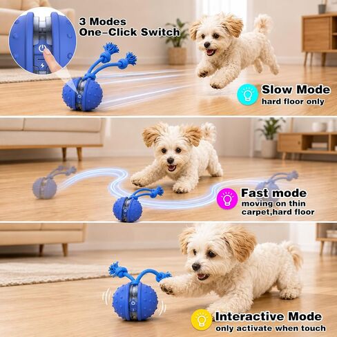 Sofolor Interactive Dog Toys to Keep Them Busy, Active Rolling Ball for Dog in Kuwait