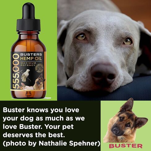 Buster's Hemp Oil for Dogs & Cats, Calm, Joint, Coat, 4Pack 60ml in Kuwait