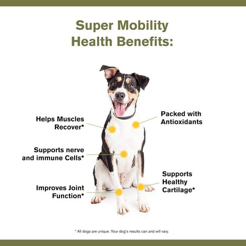Badlands Ranch Super Mobility Joint Supplement for Dogs, 30 Scoops in Saudi Arabia