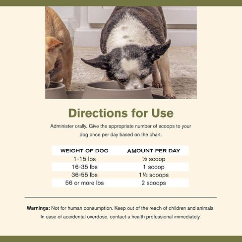 Badlands Ranch Super Mobility Joint Supplement for Dogs, 30 Scoops in Saudi Arabia