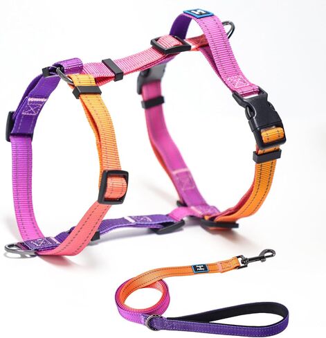 Roses&Poetry Dog Harness with Leash, No Pull Adjustable Harness Leash, Reflective Dog Halter Harnesses Comfort Padded Handle, Pet Walking Harness for Medium Dogs（Mistyrose-M） in Saudi Arabia